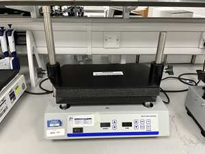 Agitador Fisher Scientific Multi-Tube Vortexer