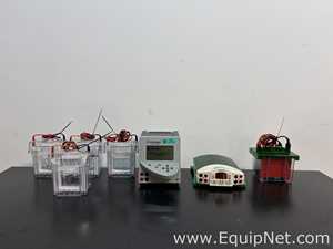 Lot of Invitrogen PowerEase 500 and Bio-Rad Power Pac Basic Power Supplies With Buffer Tanks