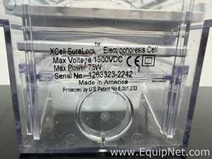 Lot of Invitrogen PowerEase 500 and Bio-Rad Power Pac Basic Power Supplies With Buffer Tanks