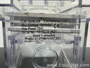 Lot of Invitrogen PowerEase 500 and Bio-Rad Power Pac Basic Power Supplies With Buffer Tanks