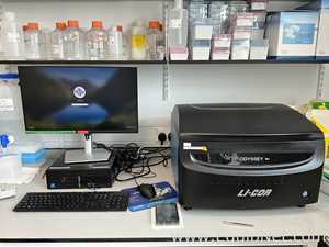 LI-COR Odyssey 9124 Imaging System