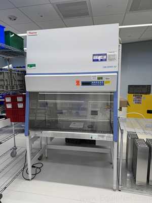Cabine de Segurança Biológica Thermo Scientific 1375