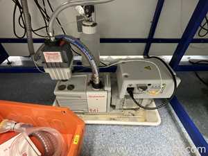 Waters Corporation Acquity H Class Plus UPLC System with RDa and PDA Detector - R