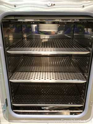 Incubadora Thermo Scientific 370
