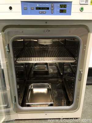 Incubadora Thermo Scientific 370