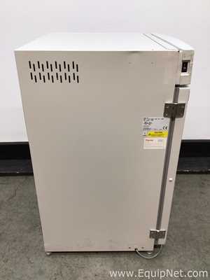 Incubadora Thermo Scientific 370