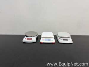 Lote de 3 Báscula Ohaus Corporation 