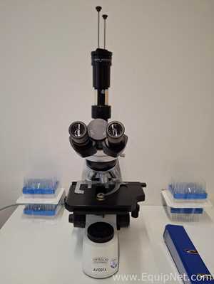 Exacta and Optech Labcenter SpA B5 High-brightness Research Laboratory Microscope