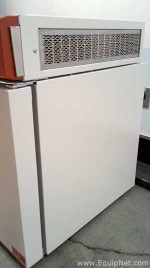 Estufa Binder FDL 115