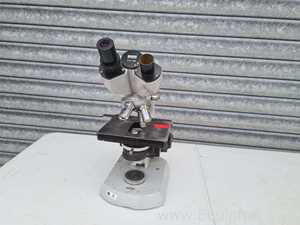Microscopio Zeiss Standard 15