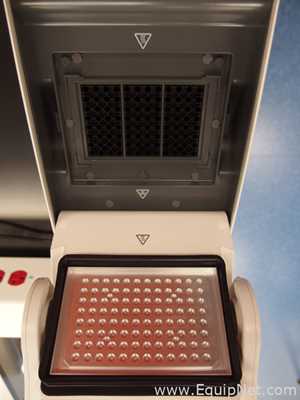 PCR y Termociclador Applied Biosystems Mini Amp