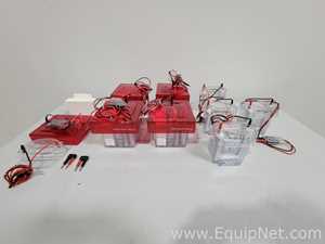 Lote de  Electroforesis Invitrogen XCell SureLock