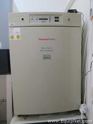 Incubadora Thermo Forma Scientific 381