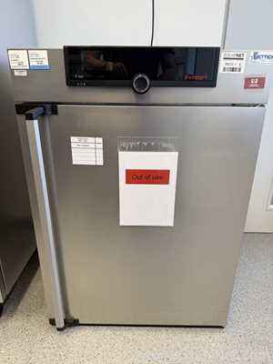 Incubadora Memmert IF 260