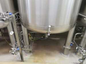 Fastpol 1800 Liter Stainless Steel Atex Rated Mixer With Top Mounted Agitator