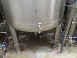 Fastpol 1800 Liter Stainless Steel Atex Rated Mixer With Top Mounted Agitator