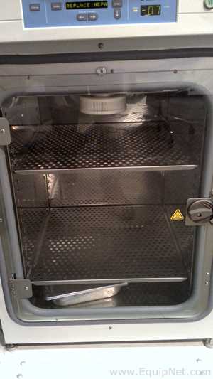 Incubadora Thermo Fisher Scientific 370