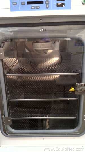 Incubadora Thermo Fisher Scientific 370