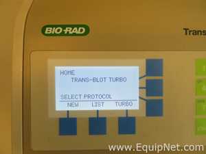 Bio-Rad Trans-Blot Turbo Transfer System