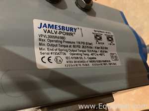 Válvula Jamesbury VPVL300SR4/5BD