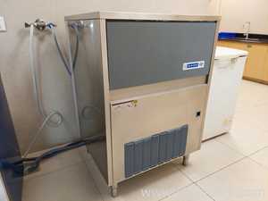 Blue Star SLF 320AG Ice Maker Machine