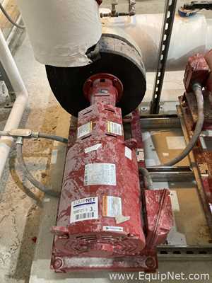 Lote de  Bomba Centrífugas Bell & Gossett e-1510 SSF 7.375 3BD
