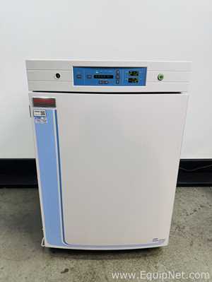 Incubadora Thermo Scientific 370