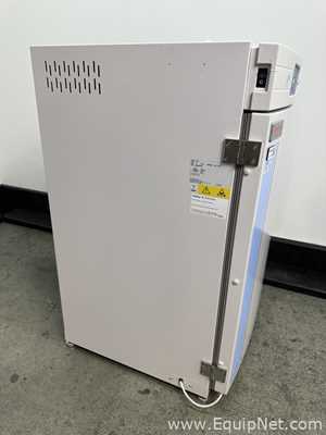 Incubadora Thermo Scientific 370