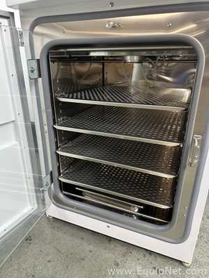 Incubadora Thermo Scientific 370