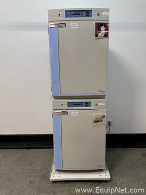 Incubadora Thermo Scientific 370