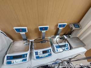 Lote de  Báscula Bell Scales Pvt Ltd BS-TB