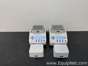 Lote de 2 Mezclador de Laboratorio Eppendorf Thermomixer C