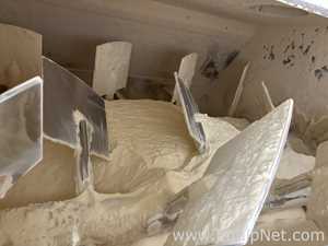 Tatham Stainless Steel 1200 Kg Twin Shaft Paddle Mixer