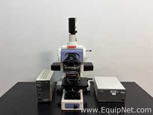 Microscopio Nikon Eclipse E800
