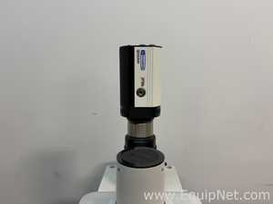 Microscopio Nikon Eclipse E800