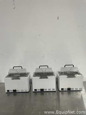 Lote de 3 Baño María / Circulador Thermo Fisher Scientific TSGP05