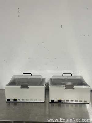 Lote de 2 Baño María / Circulador Thermo Fisher Scientific TSGP20