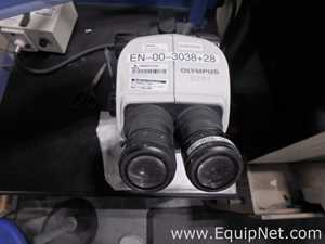 Olympus SZ61 Stereo Microscope with Leeds Light Source