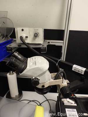Microscopio Olympus SZ61