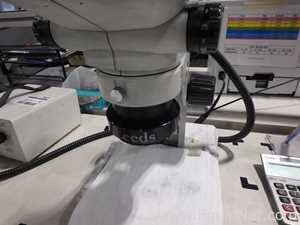 Olympus SZ61 Stereo Microscope with Schott Light Source
