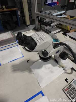 Olympus SZ61 Stereo Microscope with Schott Light Source
