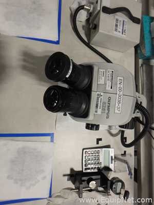 Olympus SZ61 Stereo Microscope with Schott Light Source