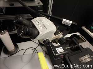 Microscopio Olympus SZ61