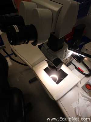 Microscopio Olympus SZX7
