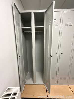 Lote de 9 Gabinete de Almacenamiento Promag 
