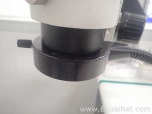Olympus SZX7 Stereo Microscope With Light Source