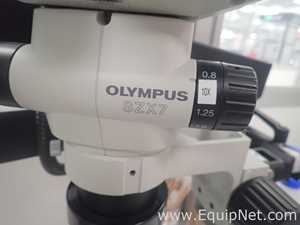 Olympus SZX7 Stereo Microscope With Light Source