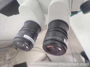 Olympus SZX7 Stereo Microscope With Light Source