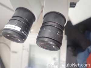 Olympus SZX7 Stereo Microscope With Light Source