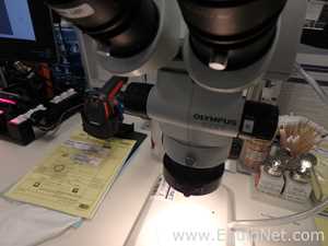 Microscopio Olympus SZX7